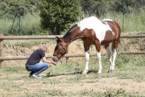 Nancy en séance avec Cochise