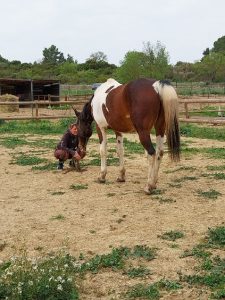 Nancy et Cochise, connexion